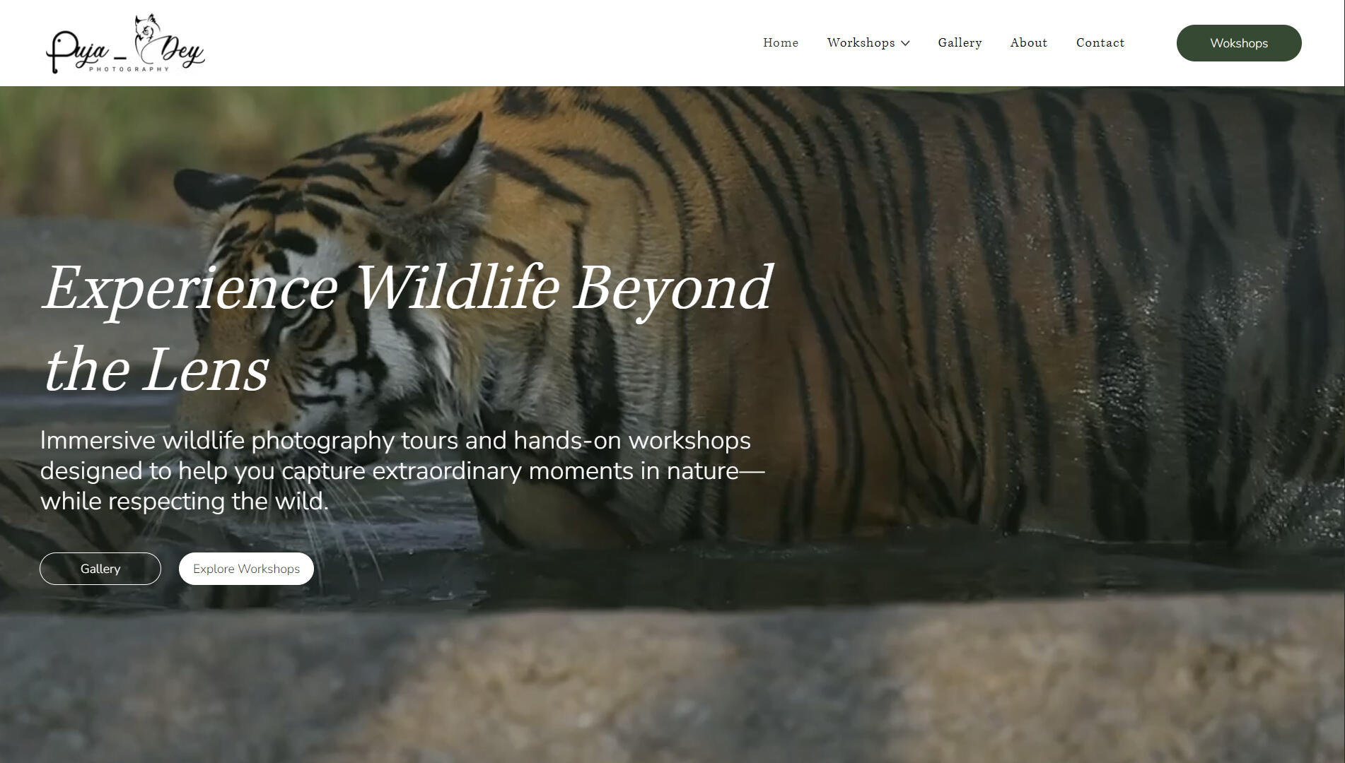 Puja Dey Wildlife Photography